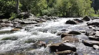 Free Video Running Water, Clean water, Mountain Water, River Water No Copyright Royalty Free