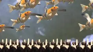 FISH CAN FLY