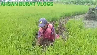 VLOG in villag AHSAN BURAT
