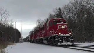 Norfolk Southern Freight Trains in the Snow with NS Heritage 8114 & Canadian Pacific D45 in New York