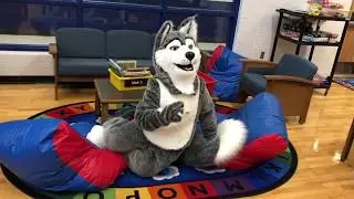 The Life of a Husky.....NTI Day