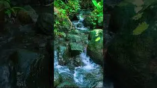 PURE River ASMR (Wear Headphones) 🎧#trending #asmr #river #river #calm #viral #yt #fyp #ytshorts