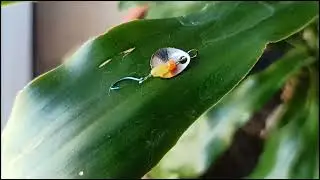 Tutorial bikin lure ikan wader terbaru lebih mudah dan simple - how to make a micro termite bait
