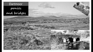 Dartmoor - ponies and bridges