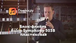 Блок-флейта Aulos Symphony 503B - Иван Васильев - Глинки.Ру PLAYZONE