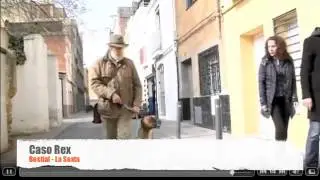 Bestial - Caso Rex
