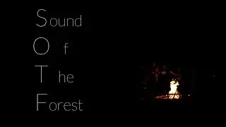 Sound Of The Forest