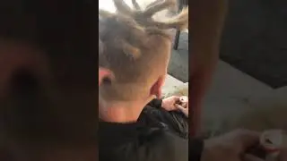 Dreadlocks with straight hair #1