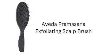 Aveda Pramasana Exfoliating Scalp Brush