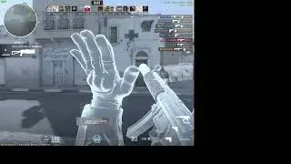 fsils y kills en counter