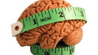 Is Monogamy Linked to Brain Size?