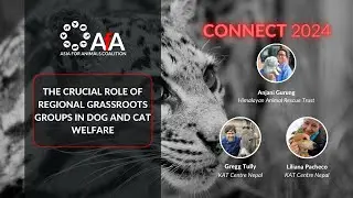 The crucial role of regional grassroots groups in dog and cat welfare