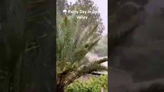 Magical Rainy Day in Swat Valley 🌧️🏞️ | Peaceful Nature from My Home #Shorts