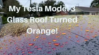 My Tesla Model 3 Glass Roof Turned Orange!