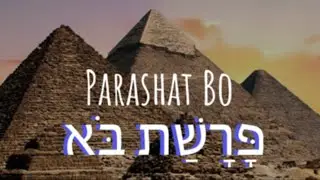 Parshat Bo | My Take with Rosh Ya’acob S3_Ep.12