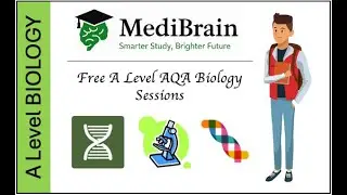 A Level AQA Biology: Active Transport & Co-Transport | Classroom Experience | Complete Lesson
