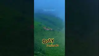 #ootyhills #nature #ootyroad #mountains #travel #monsoon #ootytrip #ooty