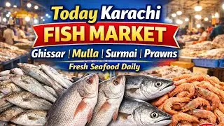 Today Karachi Fish Market 🐟 | Ghissar, Mulla, Surmai & Prawns | Daily Seafood Update