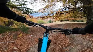 FOX trail Par&acirc;ng