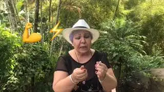 CANNABIS NO PSICOACTIVO