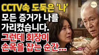 CCTV 속 도둑은 ‘나’ 그 순간, 회장이 내 손목을 잡았습니다 #시니어사연 #시니어공감 #시니어오디오북 #인생드라마
