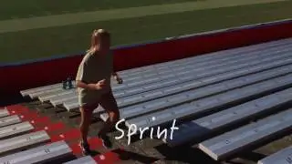 Plyometric Stadium Circuit - Increase your Vertical