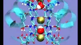 Potassium ions moving through selectivity filter of potassium channel (KcsA)