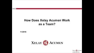 How Does Xelay Acumen Work as a Team?
