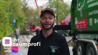 Baumprofi Baumf&auml;llung Erding IhrBaumProfi