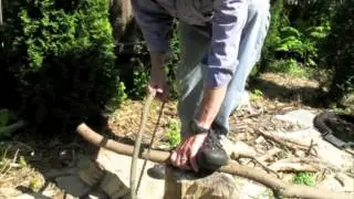 BCUSA Improvised Bowsaw
