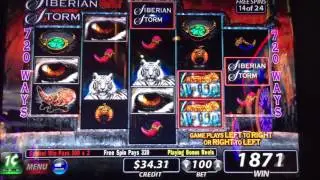 Siberian Storm Slot machine 24 spin Bonus Win!