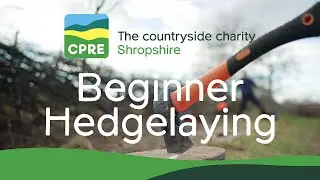 CPRE Shropshire - Beginner Hedgelaying (Hedgerow Heroes) - RFW Photo Video