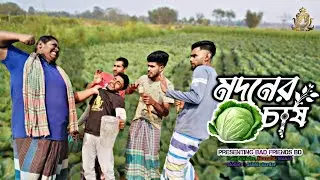 মদনের কপি চাষ। Modoner Kopi Caesh। বাংলা ফানি ভিডিও। By Bad Friends BD।