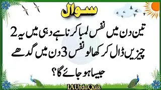 Top Islamic Questions Answers | Islamic Quiz | Islamic Paheliyan | Islami Sawal Jawab | Urdu Quiz