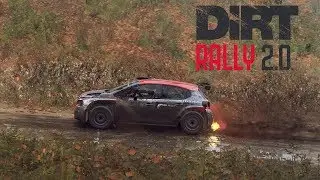 DIRT RALLY 2.0 | CITROEN C3 R5 | NEW ENGLAND, USA | CHASE