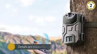 Top 5 Best Trail Camera Reviews