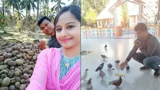 Coconut tree farm and Ganesh mandir 🙏🙏🙏Abhayapuri vlog