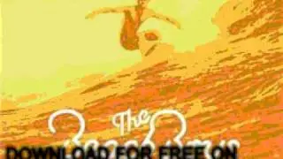 the beach boys - The Little Girl I Once Knew - The Platinum