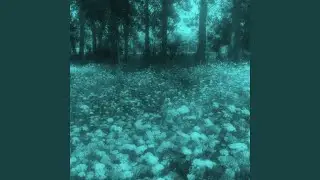 Ordinary (slowed+reverb)