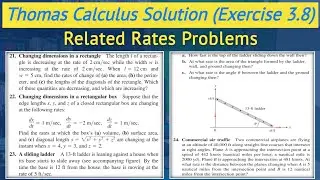 Thomas calculus exercise 3.8 Q21 to Q24 | Related rates problems urdu hindi || Lec 71