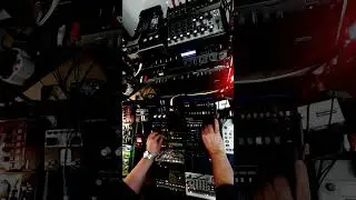 JamTV 260110 Volca FM #shorts #electronicmusic #analogsynth #technodance #volcafm #dawlessjam