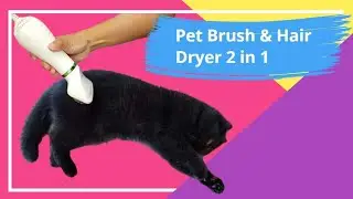 Pet Grooming Hair Dryer and Slicker Brush Combination for Cats and Dogs  Replaceable Brush Head