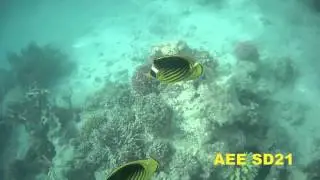 Возможности AEE SD21