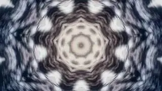 Trance (Mirrored Trees in Motion), Music by A+B