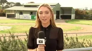 Damian Lane potential grand slam - ABC News Breakfast