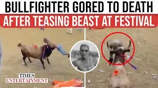 Bull Charges At Taunting Man; SHOCKWAVE At Packed Arena As Controversial Festival Leads To Funeral