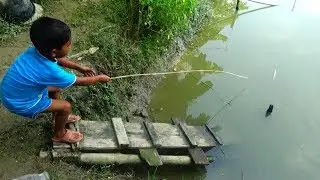 Fishing Video | Daily village life hook fishing (Part-142)