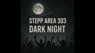 Stepp Area 303 / Dark Night