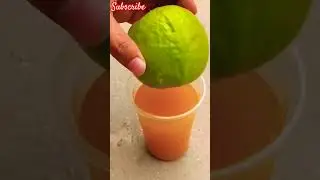 New Technique: guava tree #shorts video