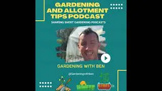 🎥 ✅ 🌿 Looking After the Wildlife in the Allotment & Garden 🐝 | Simple Tips to Help Nature Thrive 🌸🎧